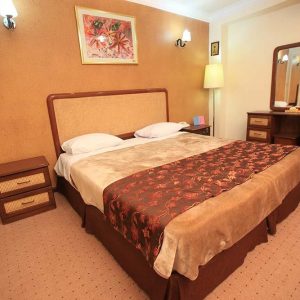 Alaedin-Travel-Agency-Yasuj-Parsian-Azadi-Hotel-Double-Room-1